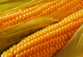 �������, ��������, ������