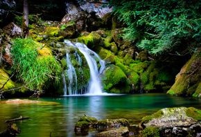 ������, �����, �������