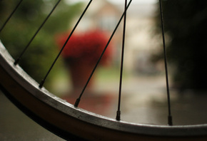  , macro, bicycle, , , , 