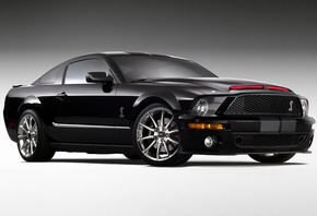 Ford shelby cobra, ������, ���������