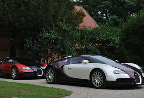 ���, ����