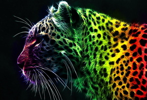 �����, ����