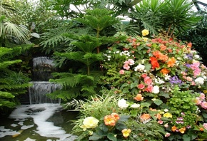 Водопад, растения, цветы
