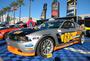 ��������, ��������