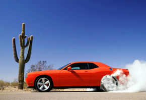 Dodge challenger, ������� ������, ���