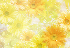 фон, Желтый, flowers, yellow, цветы