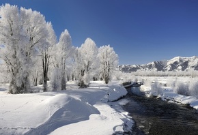 деревья, зима, Природа, река, иней, снег