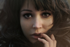 ����, �������, �����������, �����, ������, �����