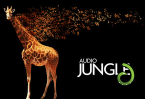 audio jungle, травоядное, giraffe, Музыка, жираф, camelopard, животное