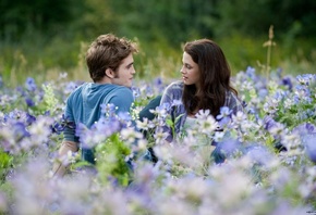 , , , , twilight, , 