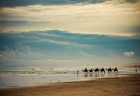 �����, ����, ������, ����, ��������, ����, �����, �����