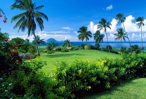 ������, ��������, ������