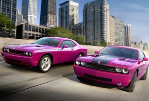 , , challenger rt, challenger srt, Dodge