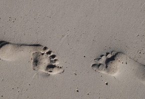 ����, �����