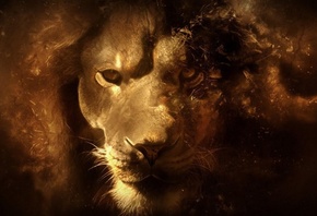 ���, ��������, �������