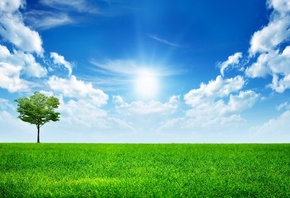 ����� ����, ����� �����, �����, ����