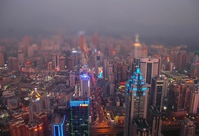 ��� ������, �����, ����