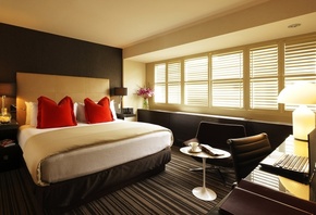 �����, �������, ���������, ��������