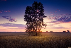 �������, �����, ������, ����