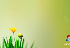 ����, �����