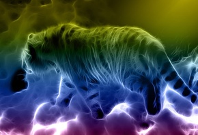 ����, 3D