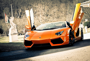 lambo, orange