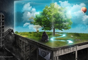 ������, ���