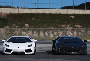 black, lp700-4, white, aventador, lamborghini, 