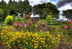 Queen Elizabeth Garden, , 