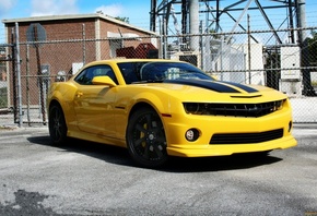 ����, ������