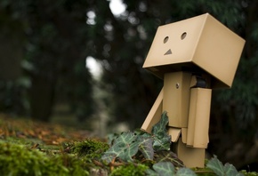 , Danbo, 