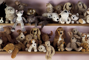 ���, ������, �������