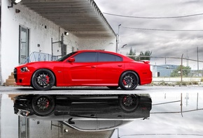 miami, puddle, srt8, red, reflection, charger, , dodge