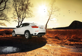 bmw x6, �����������, ���������, �����