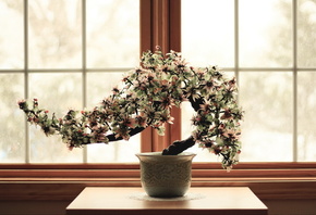 ����, relax, ������, ���������� �������