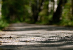 �������, �����, ����, �����, �������