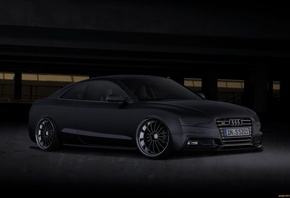 ����, ������