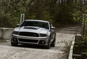 ����, �������