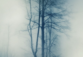 �������, �������, �����