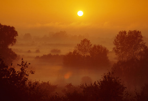 �����, �����, �����, ������