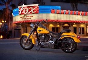 ����, ������