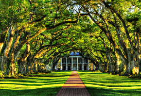 �������, �������, ������, �����