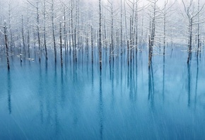 �������, ��, ����, �������