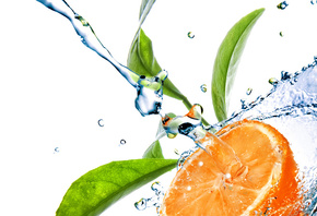 ����, �����, ��������