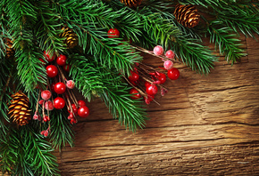 ���, ������, �����, �����, ��������