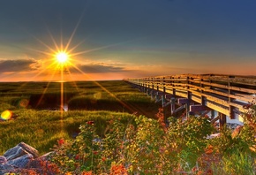 ������ ������, �������, ����, ������