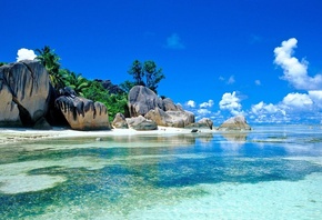 �������, �������, ����, ������