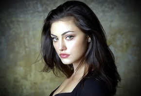 �������, ��������, ������, �������