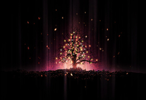 ��������, ����, ������