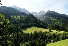 �������, ������, �������������, ������